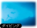 �_�C�r���O